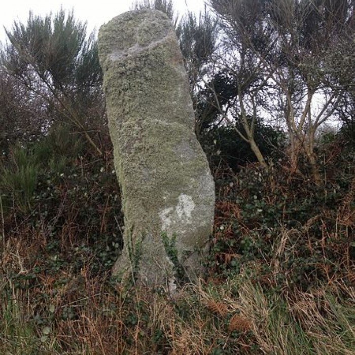 Photo de Menhir de Calès à Porspoder