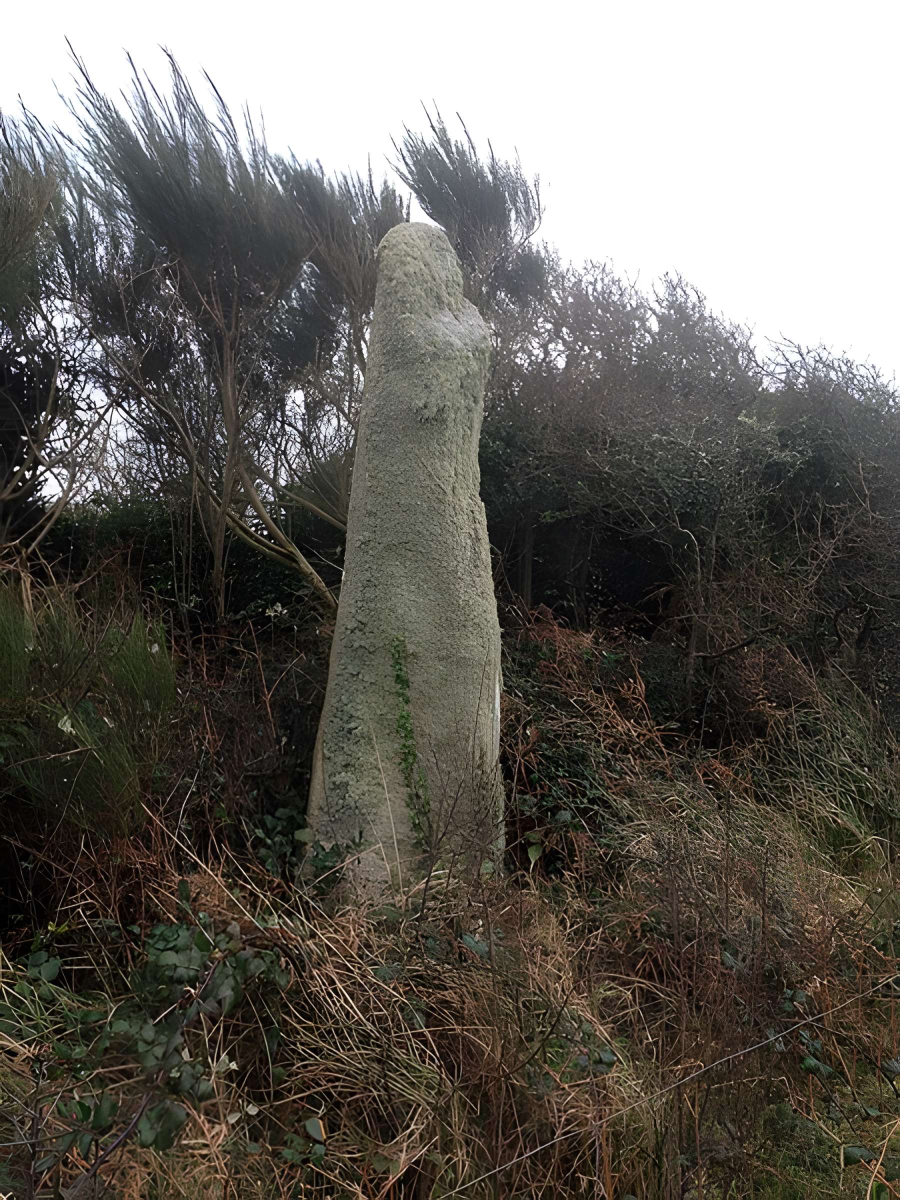 Menhir de Calès à Porspoder