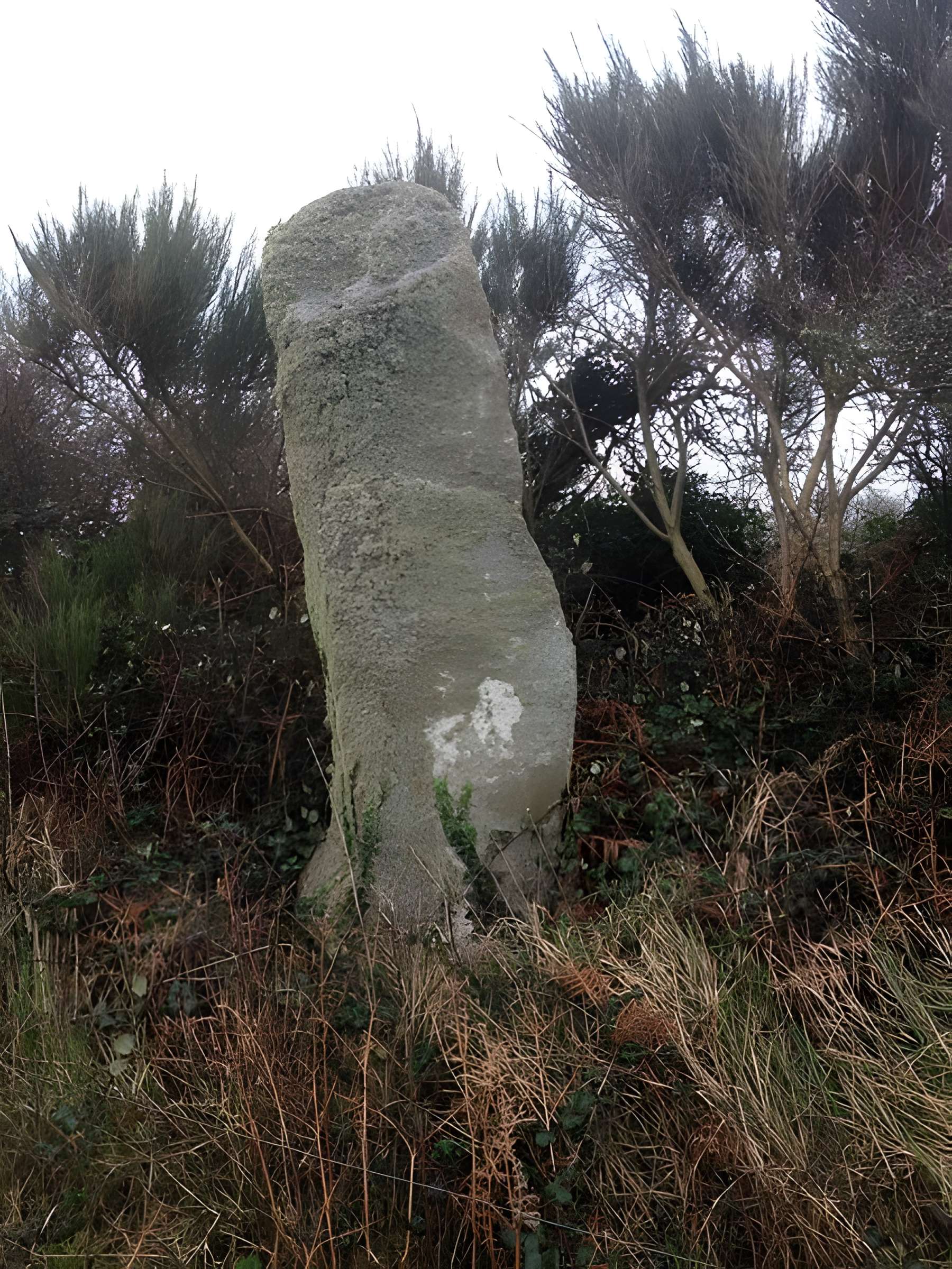 Menhir de Calès à Porspoder 