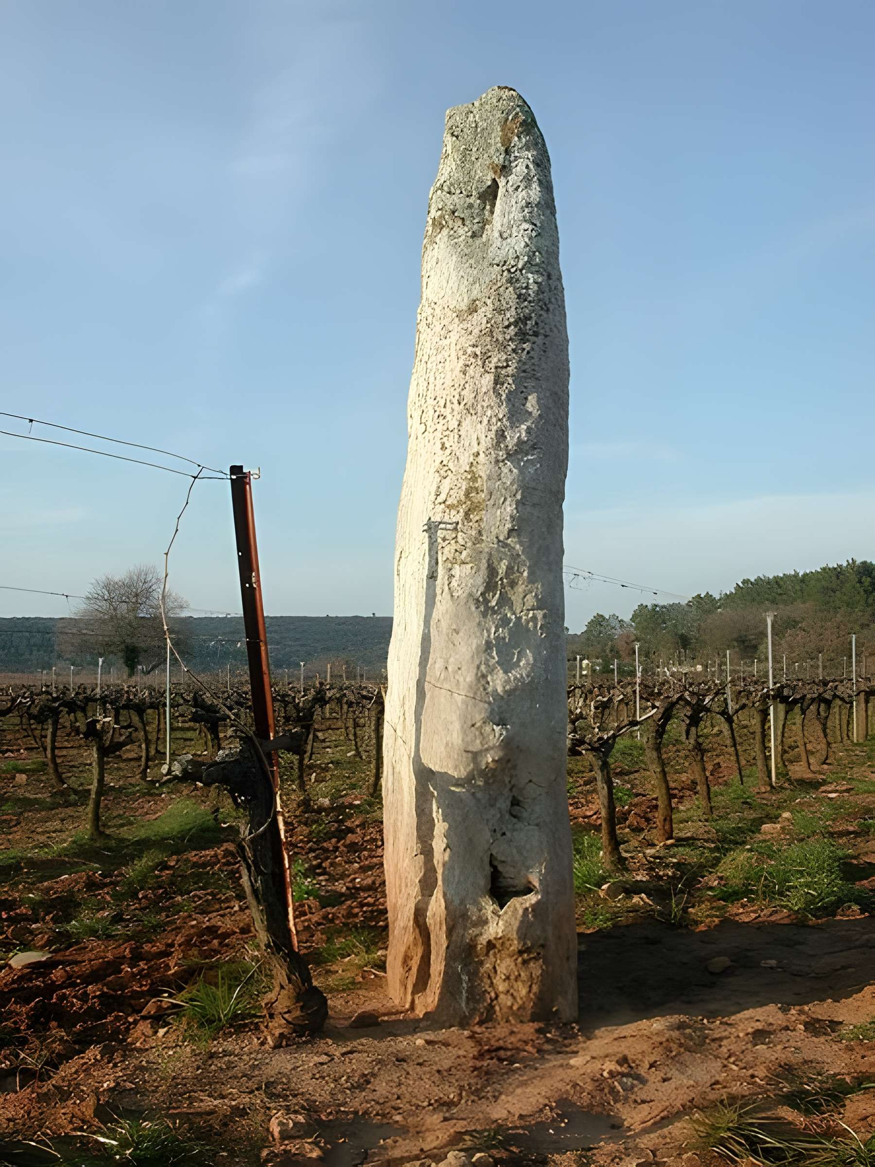 Menhir de Champduy à Cabasse 