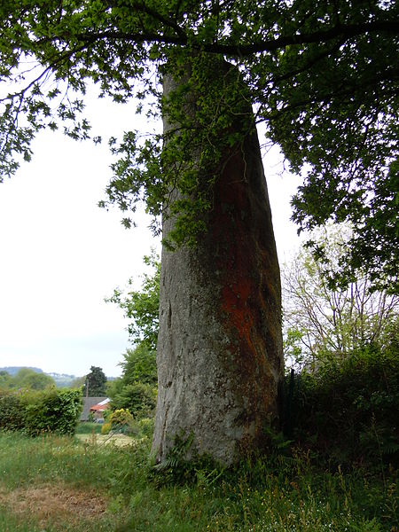 Menhir de Coat Couraval à Glomel