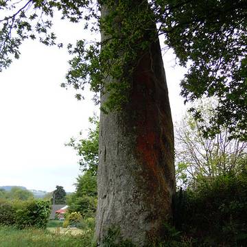 Menhir de Coat Couraval à Glomel