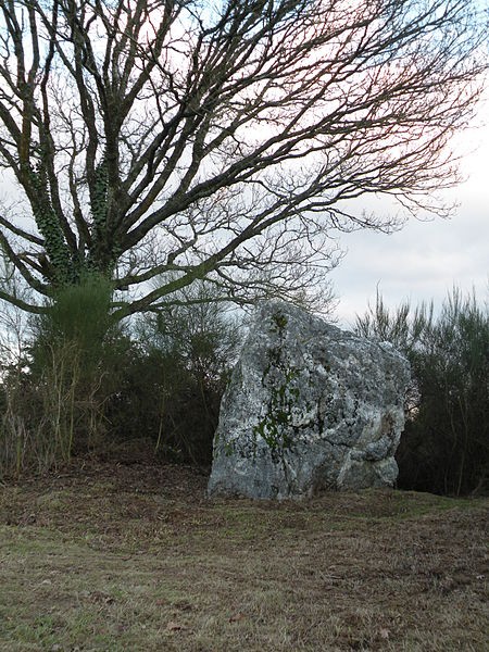 Photo de Menhir de Couëbrac à Nozay