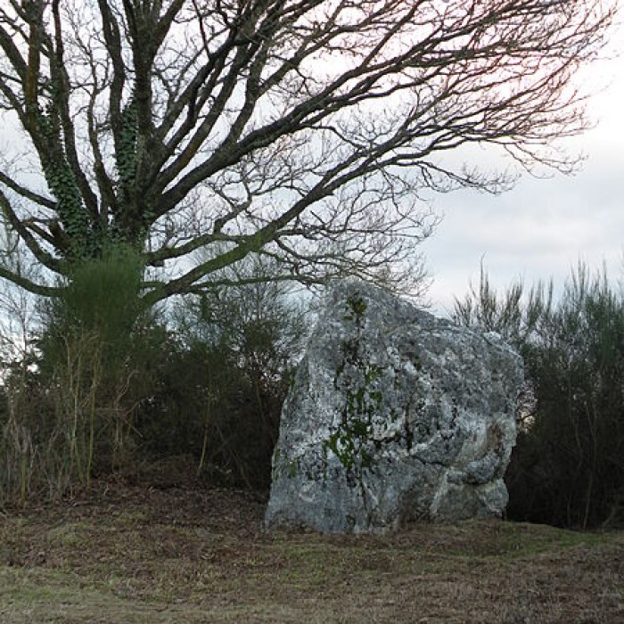Photo de Menhir de Couëbrac à Nozay