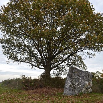 Menhir de Couëbrac à Nozay
