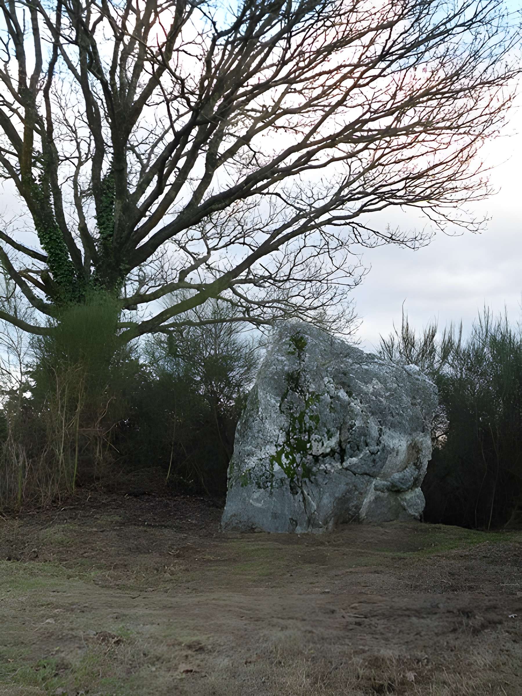 Menhir de Couëbrac à Nozay 