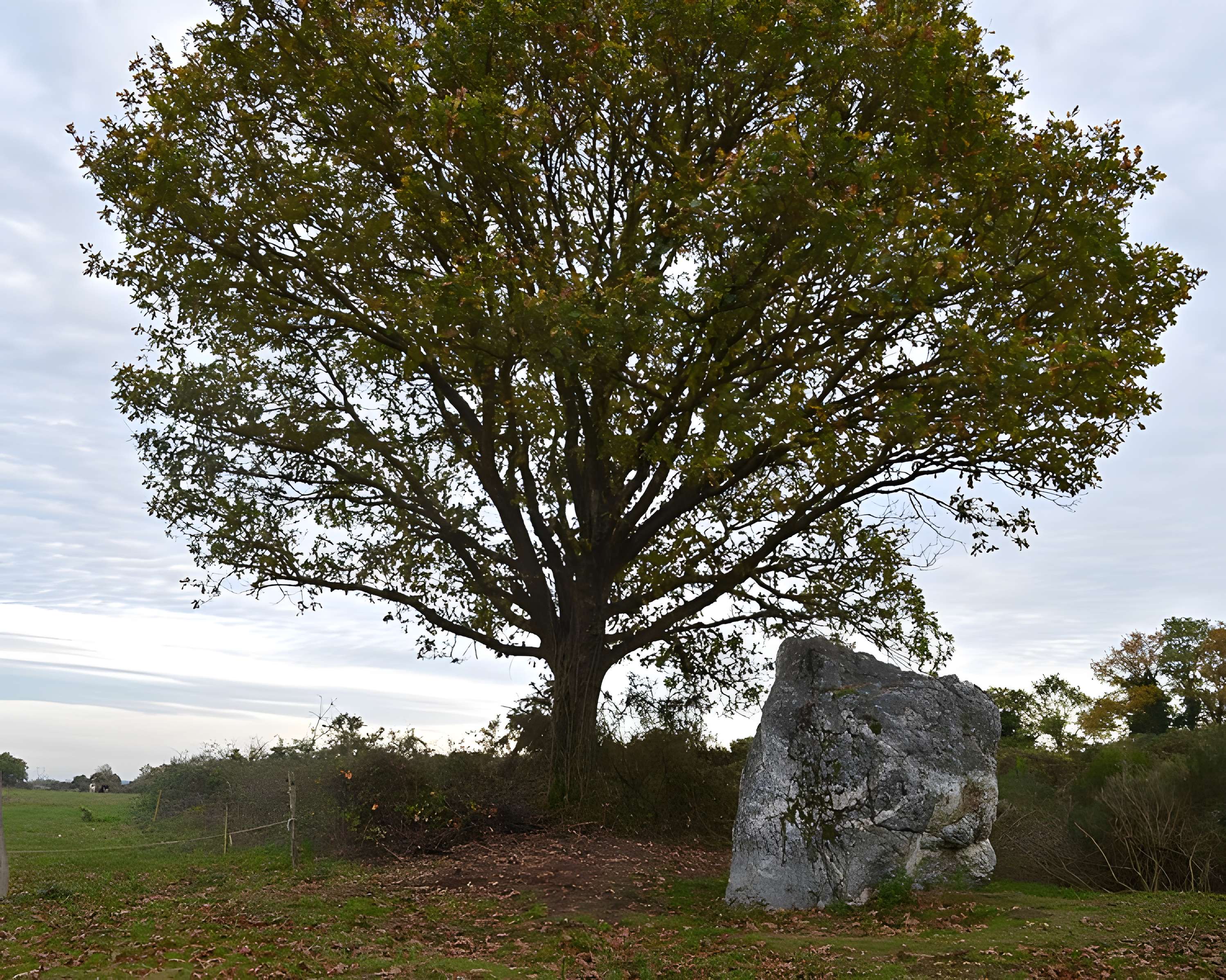 Menhir de Couëbrac à Nozay
