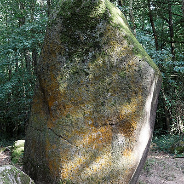Photo de Menhir de Guihallon à Lamballe