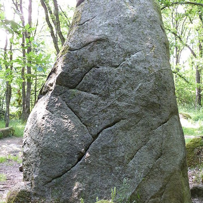 Photo de Menhir de Guihallon à Lamballe