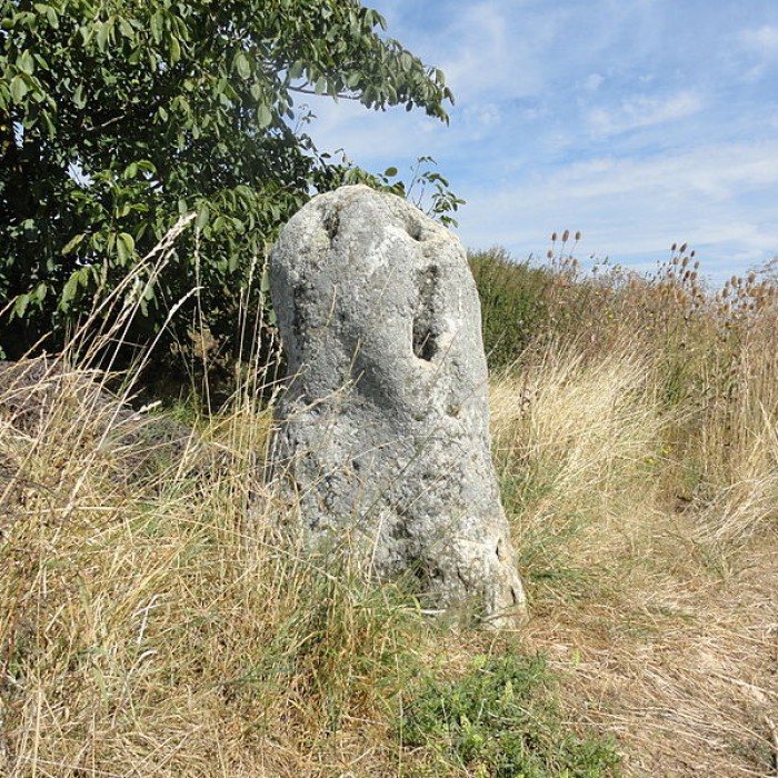 Photo de Menhir de Haute-Borne également sur communes de Cramant et Avizé
