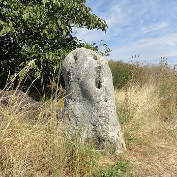 Menhir de Haute-Borne également sur communes de Cramant et Avizé