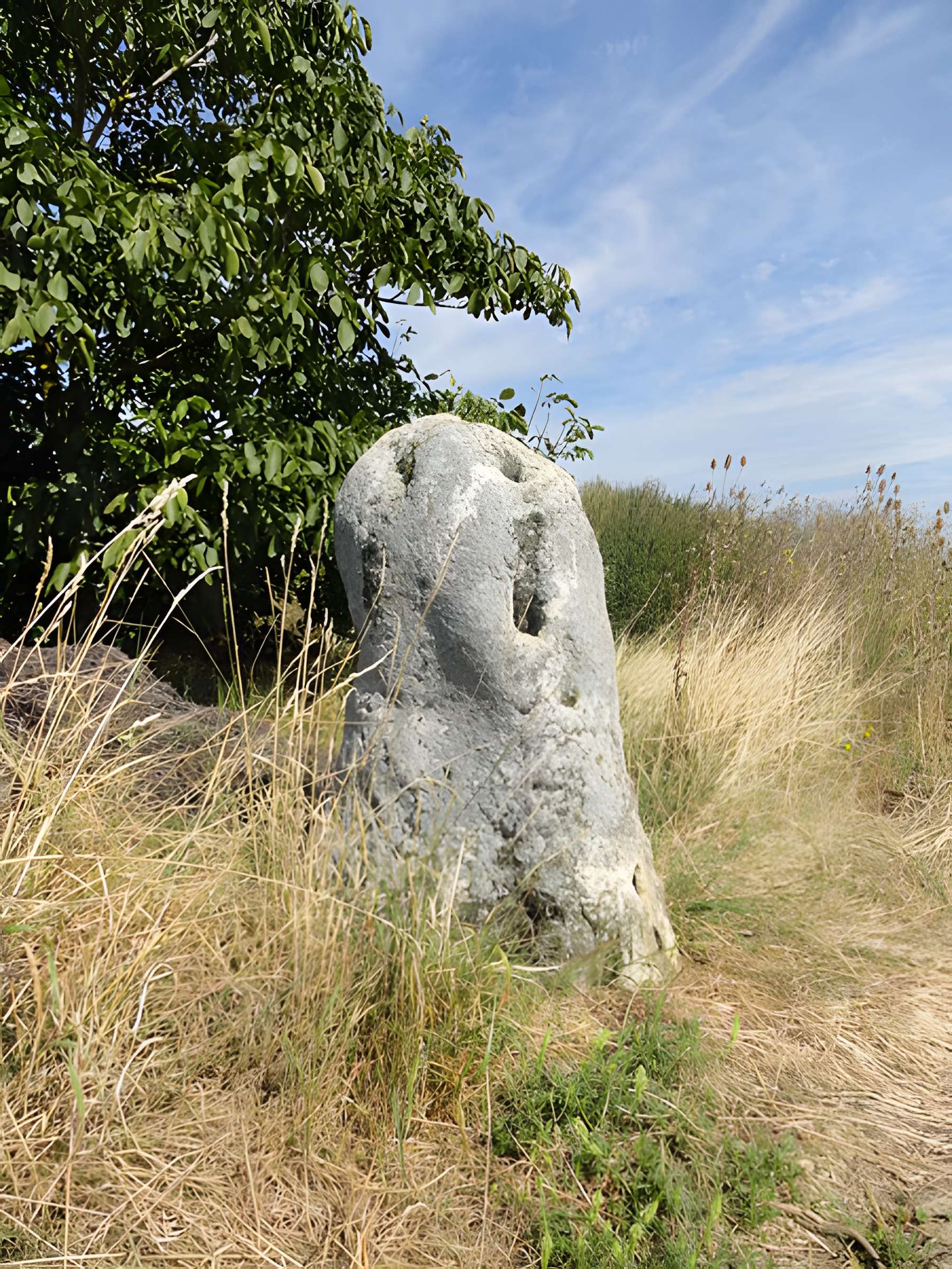 Menhir de Haute-Borne (également sur communes de Cramant et Avizé)