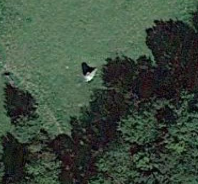 Menhir de Haute-Crane à Dissay-sous-Courcillon 