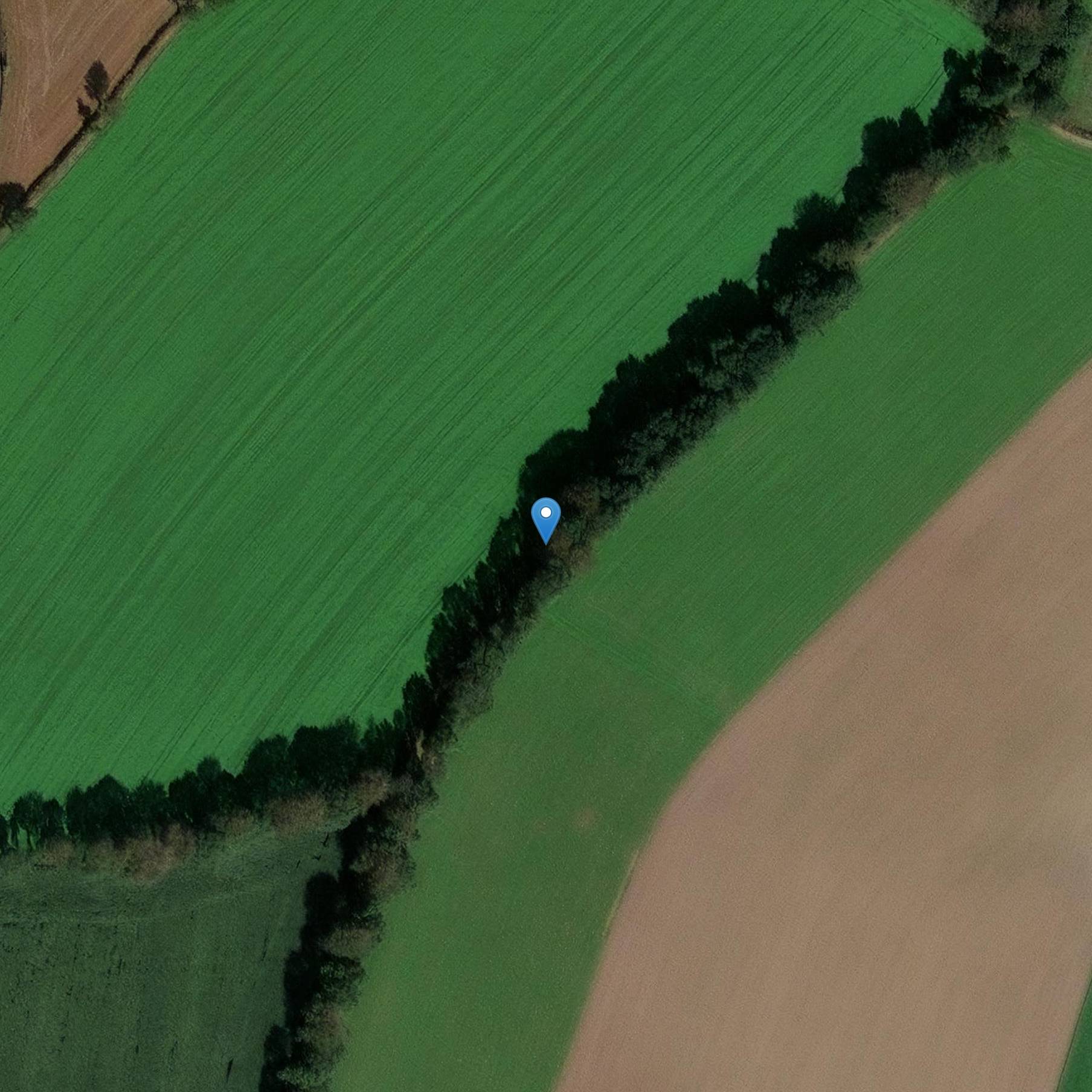 Photo de Menhir da Keranhouët a Saint-Gildas
