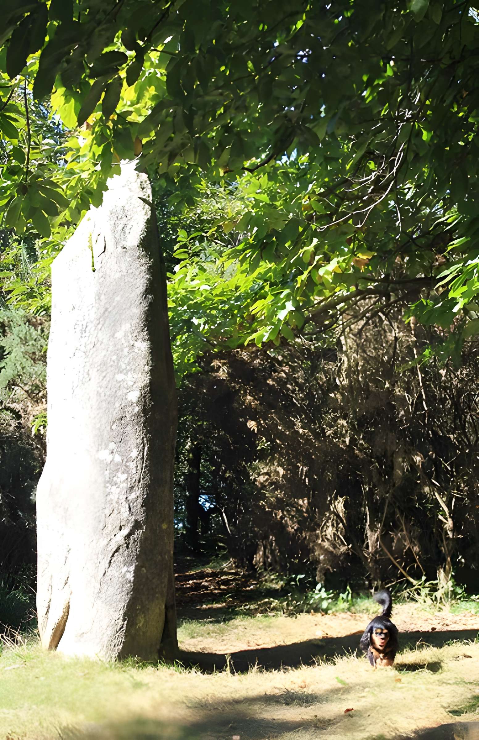 Menhir de Kerara à Moustoir-Ac