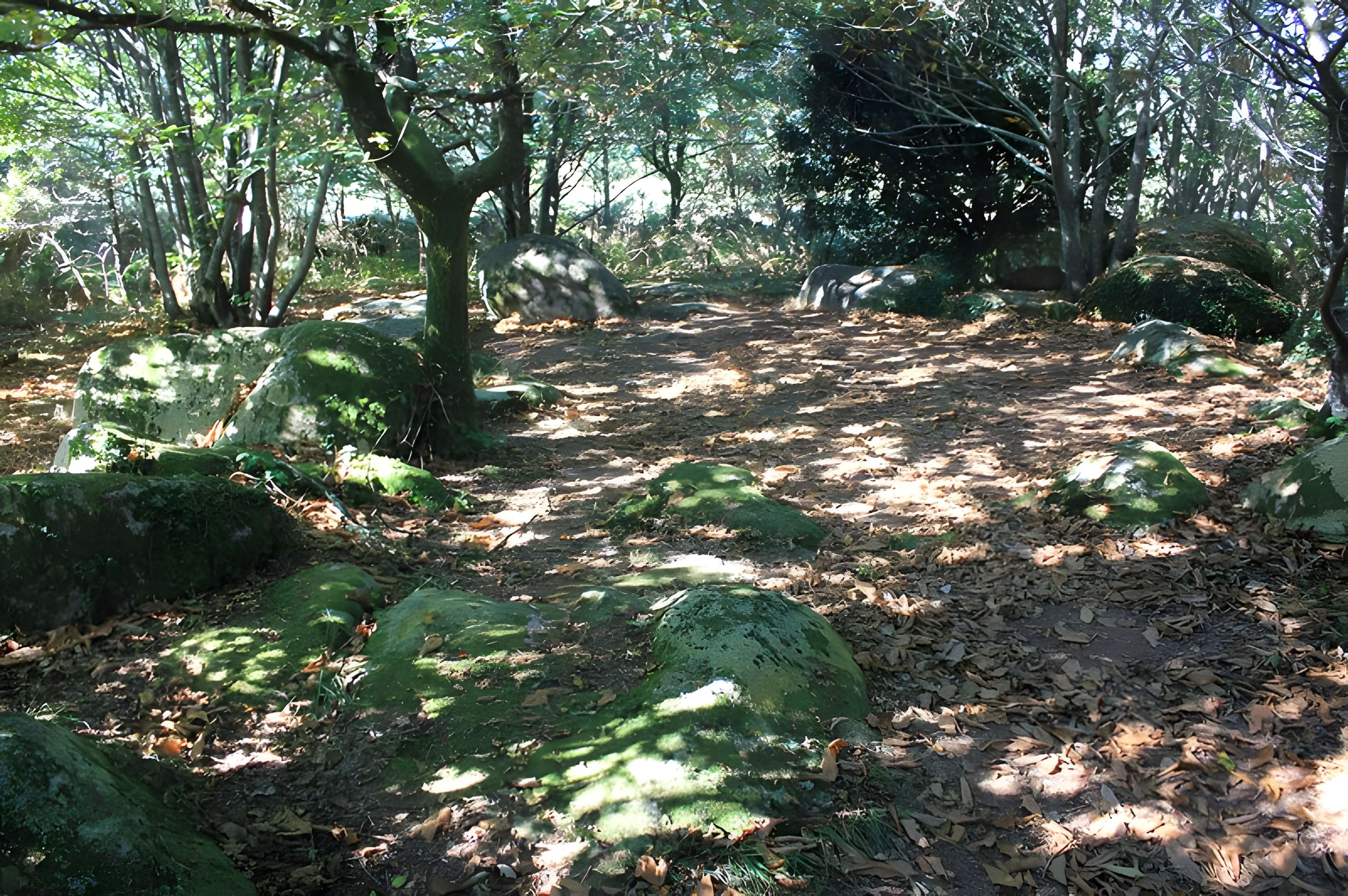 Menhir de Kerara à Moustoir-Ac