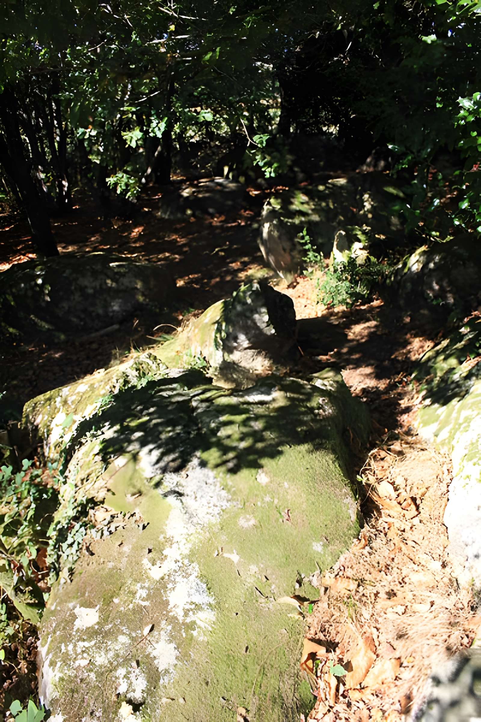Menhir de Kerara à Moustoir-Ac