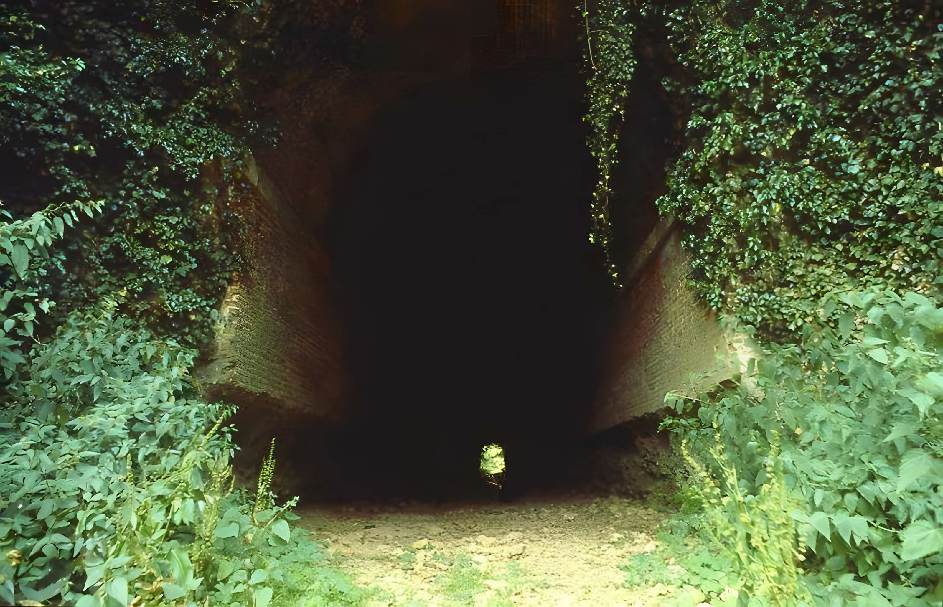 Canal de l'Eure à Berchères-Saint-Germain 