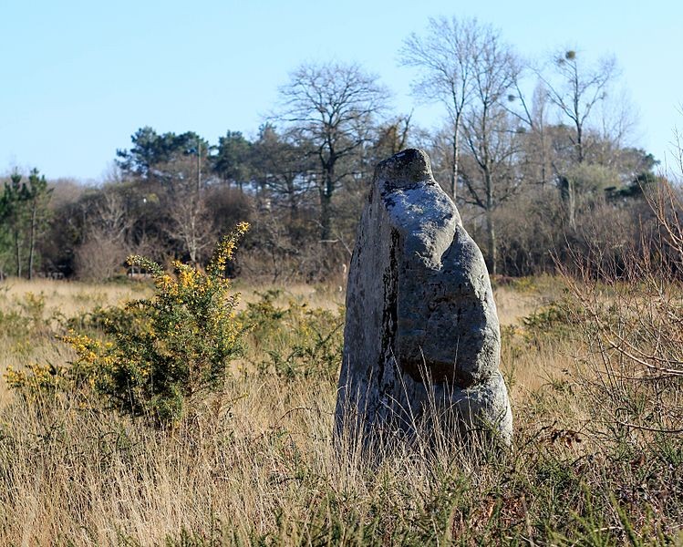Photo de Menhir de Kergo à Carnac