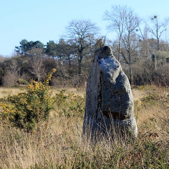 Photo de Menhir de Kergo à Carnac