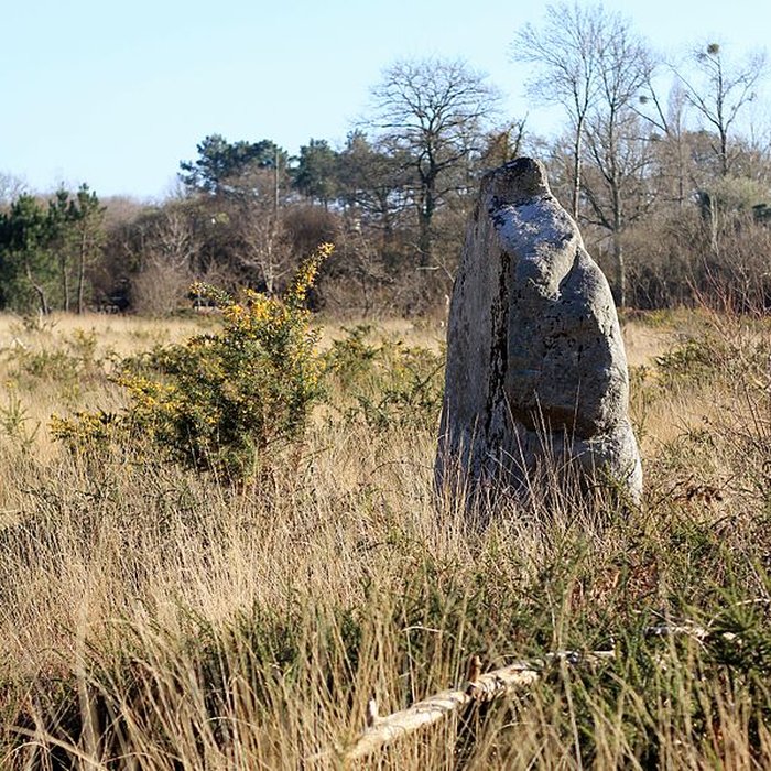 Photo de Menhir de Kergo à Carnac