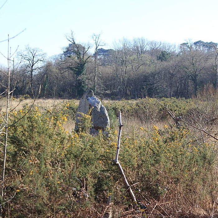 Photo de Menhir de Kergo à Carnac