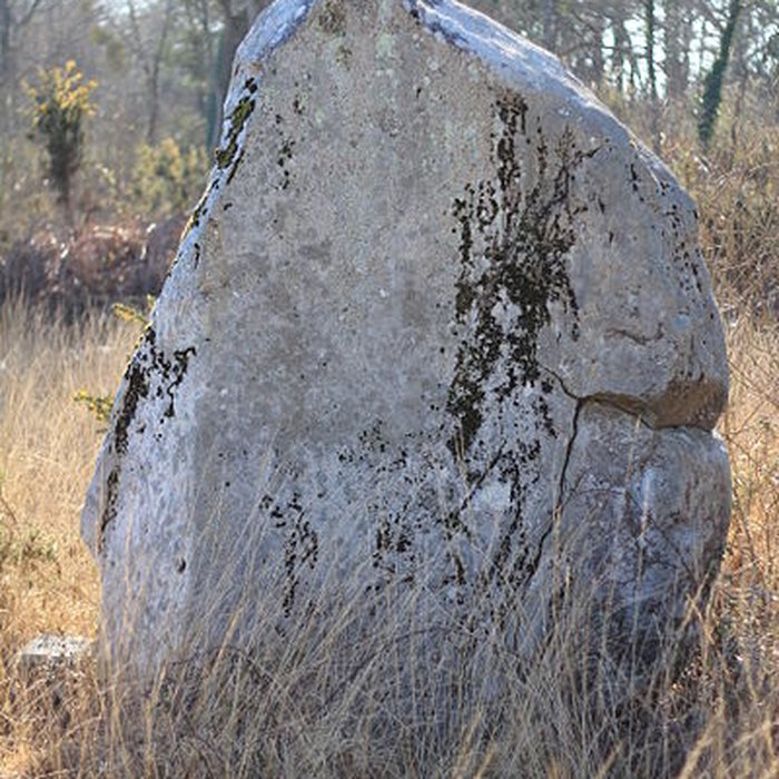 Photo de Menhir de Kergo à Carnac