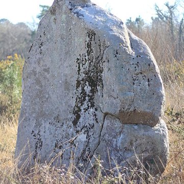 Menhir de Kergo à Carnac