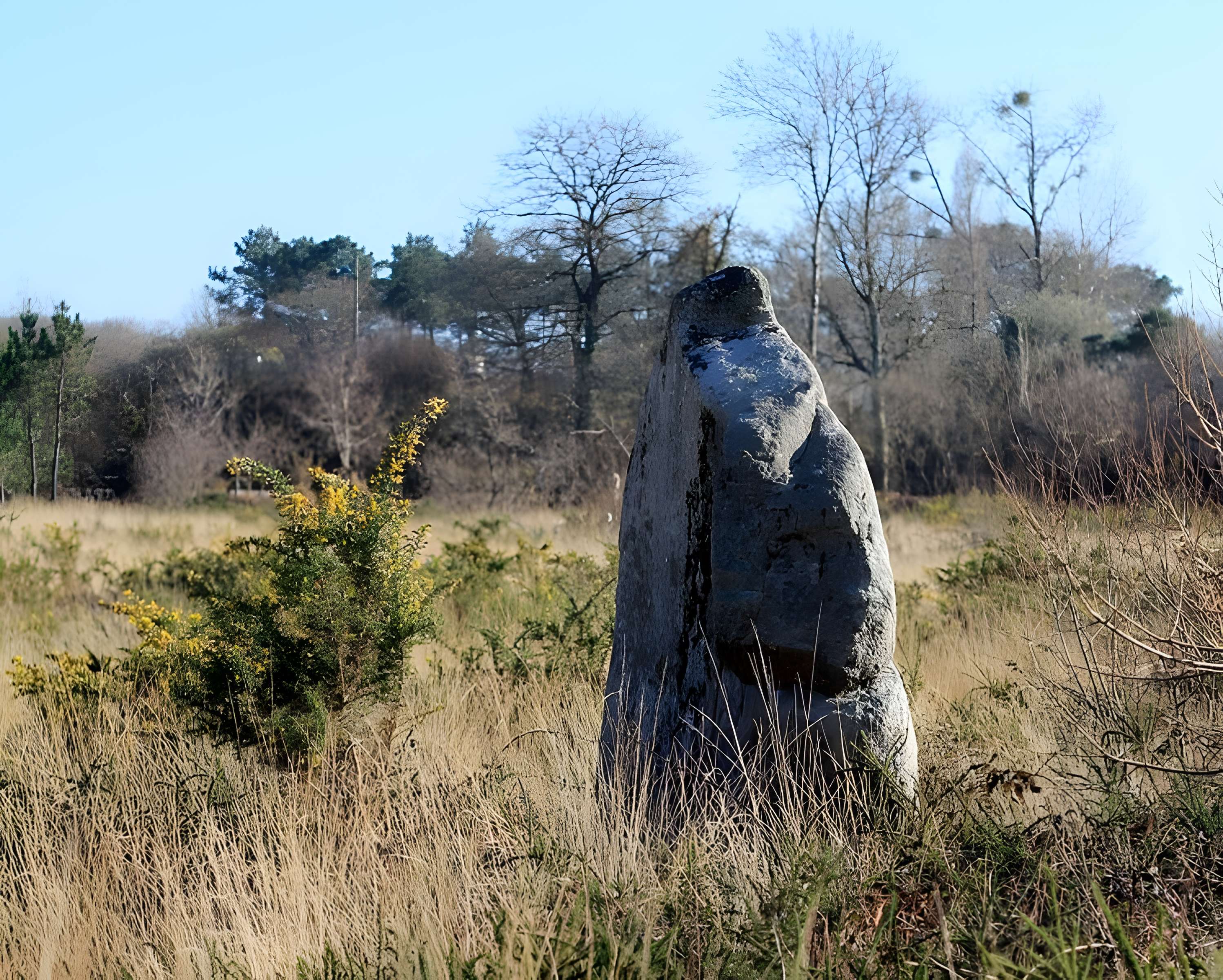 Menhir de Kergo à Carnac 