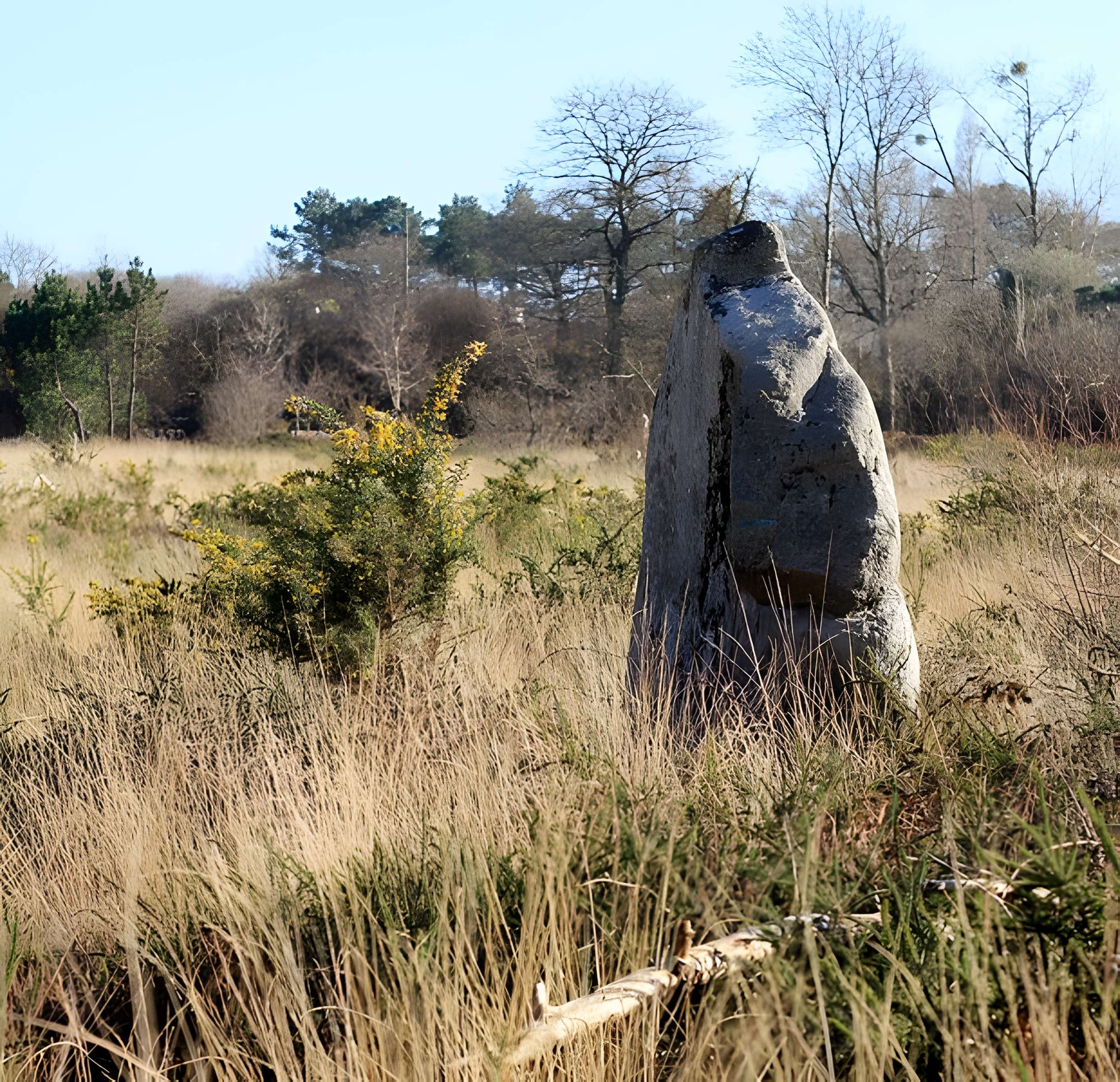 Menhir de Kergo à Carnac