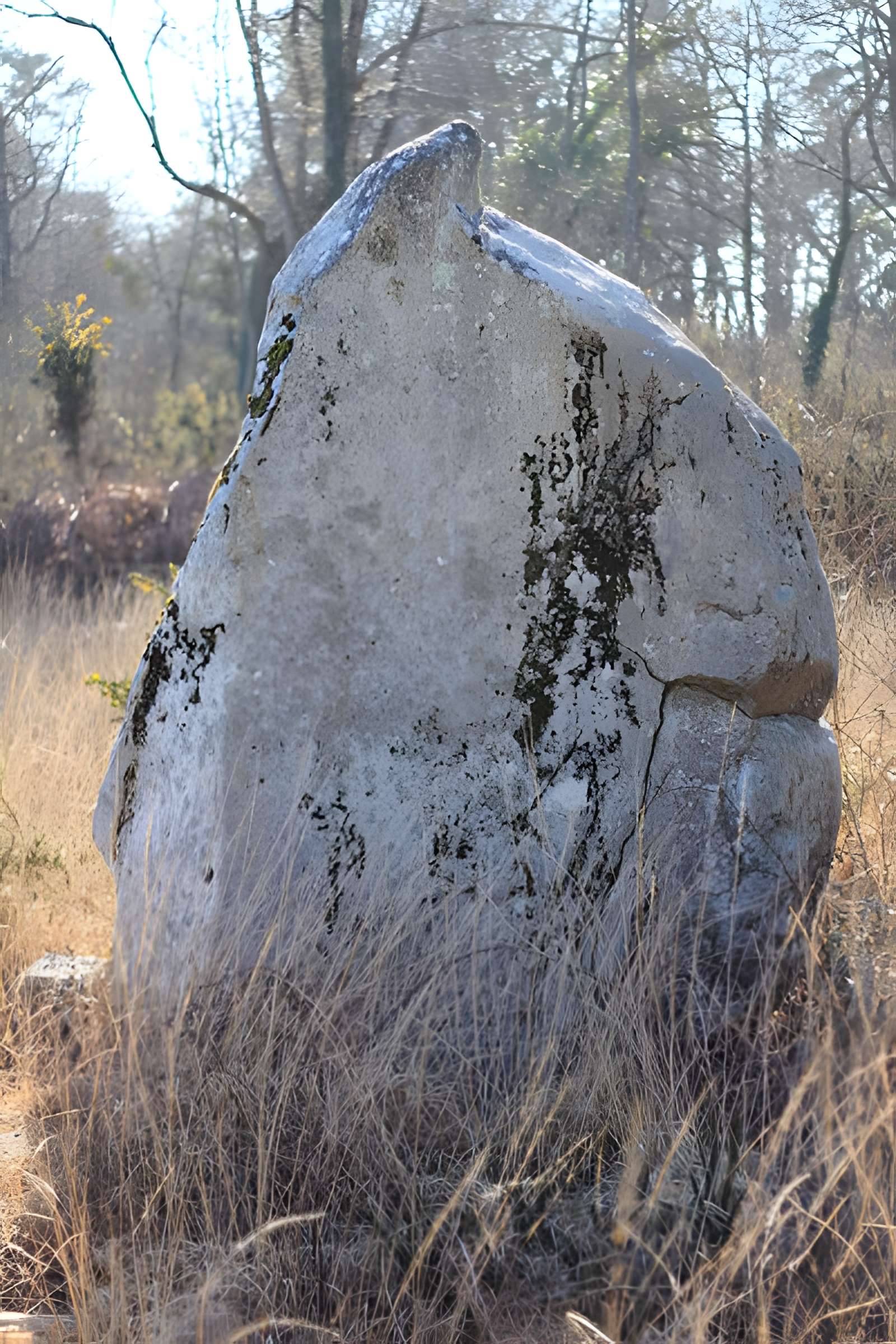 Menhir de Kergo à Carnac