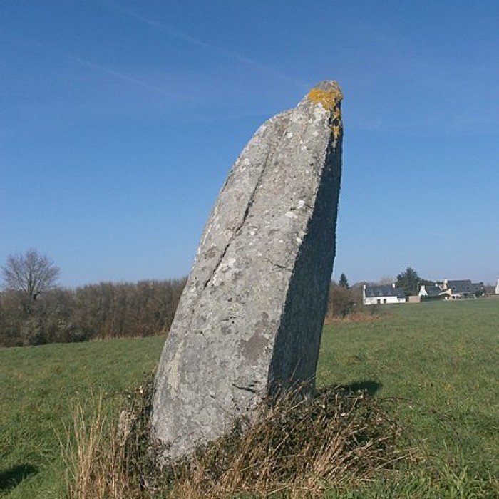 Photo de Menhir de Kerluhir à Carnac