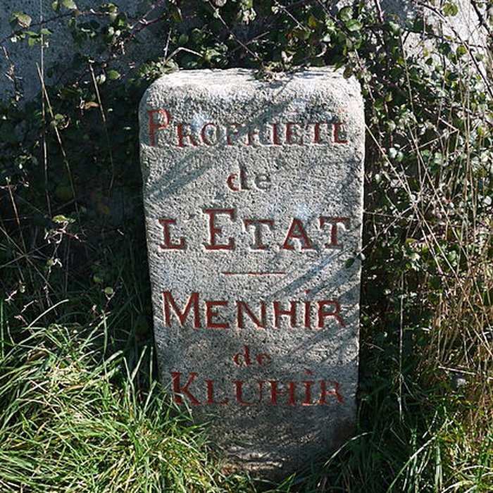 Photo de Menhir de Kerluhir à Carnac