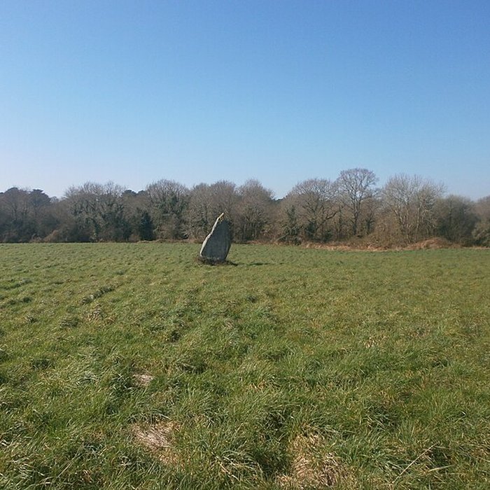 Photo de Menhir de Kerluhir à Carnac