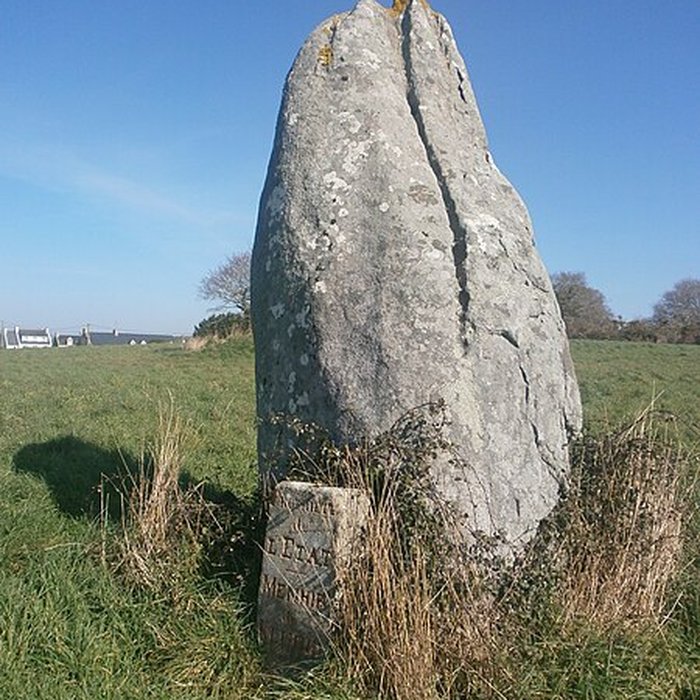 Photo de Menhir de Kerluhir à Carnac