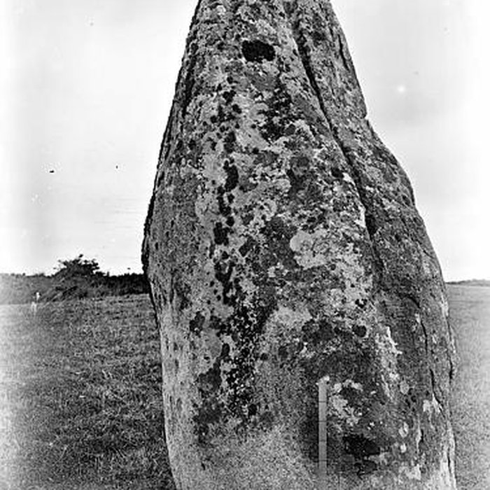 Photo de Menhir de Kerluhir à Carnac