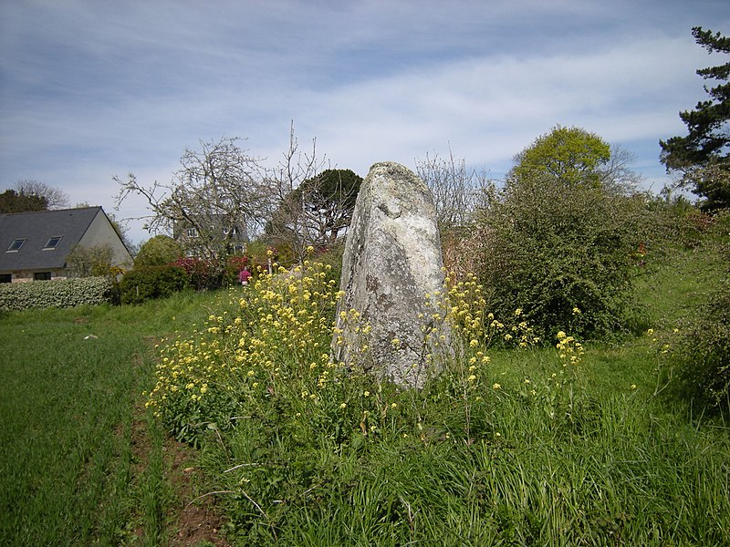 Photo de Menhir de Kervéniou à Penvénan