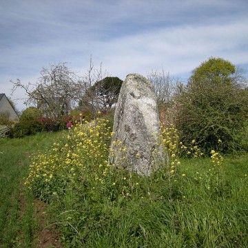 menhir de kerveniou a penvenan