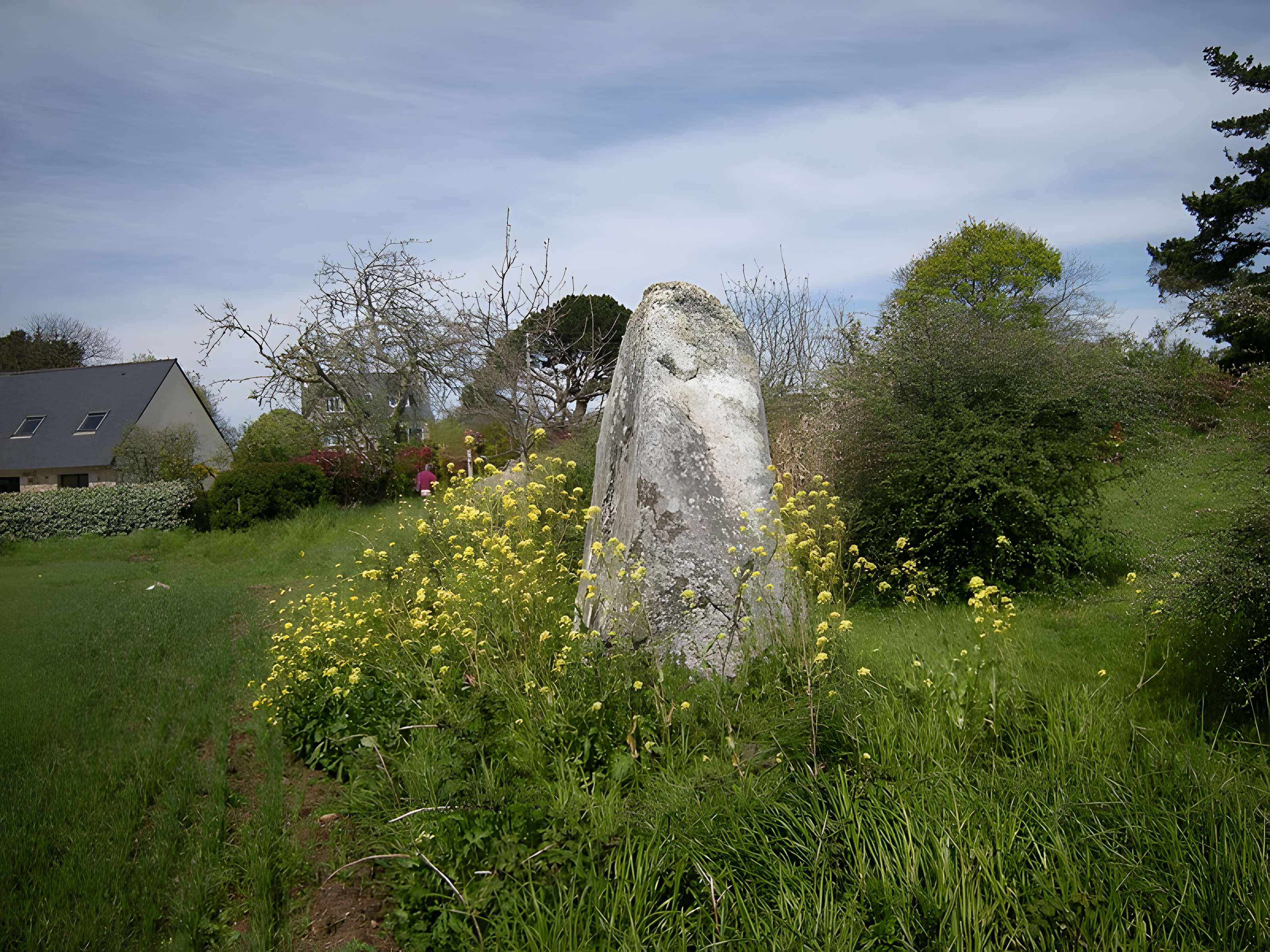 Menhir de Kervéniou à Penvénan