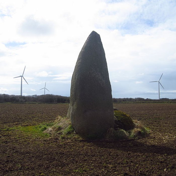 Photo de Menhir de Kervignen-Bras à Plouguin