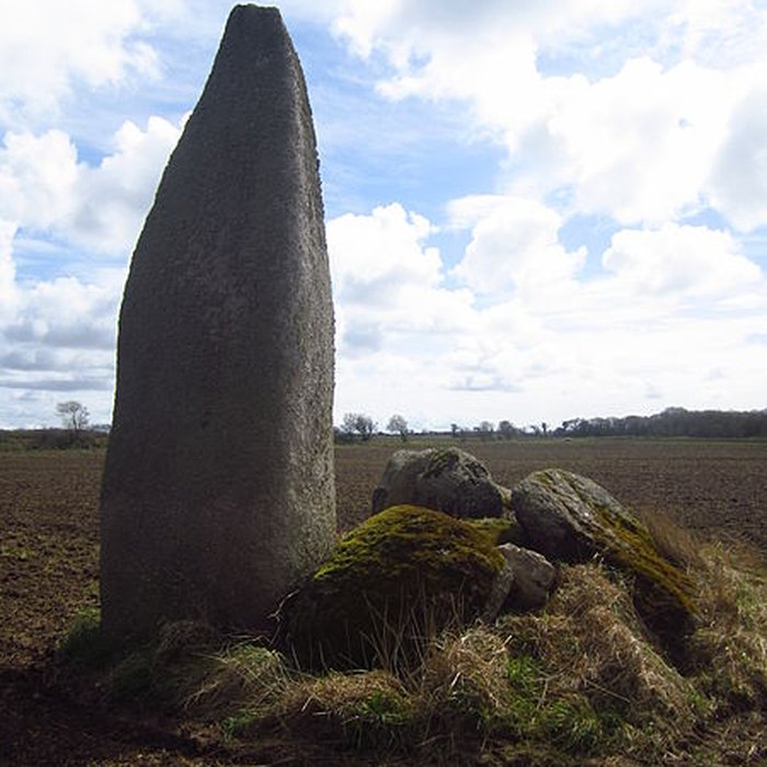 Photo de Menhir de Kervignen-Bras à Plouguin