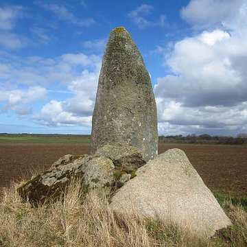 Menhir de Kervignen-Bras à Plouguin