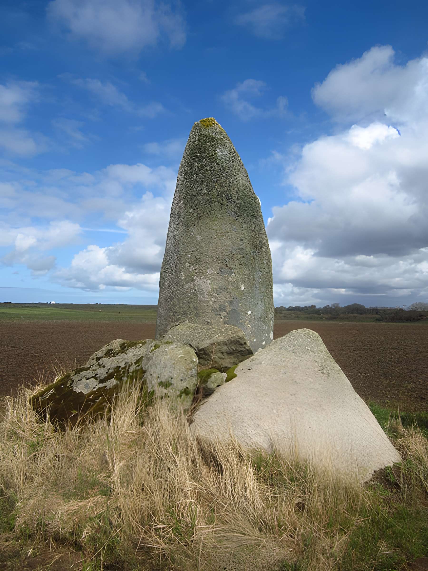 Menhir de Kervignen-Bras à Plouguin