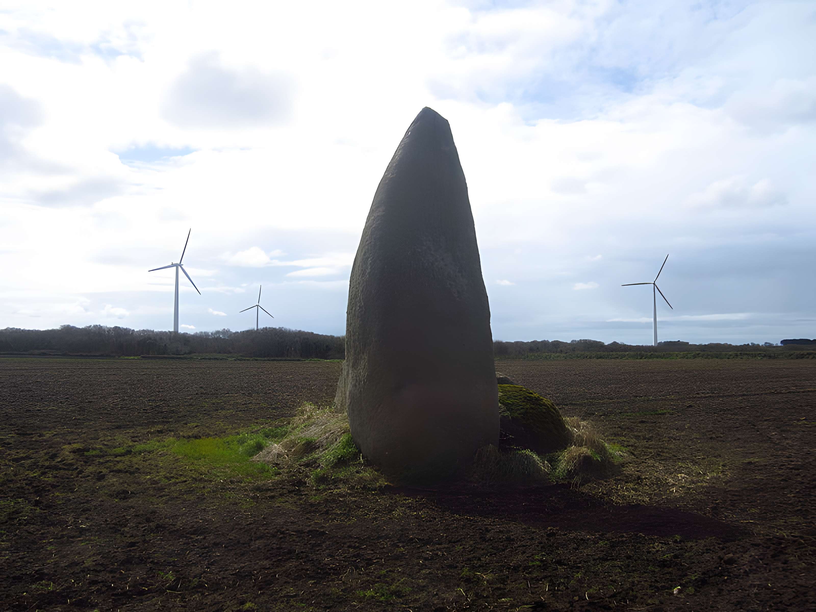 Menhir de Kervignen-Bras à Plouguin