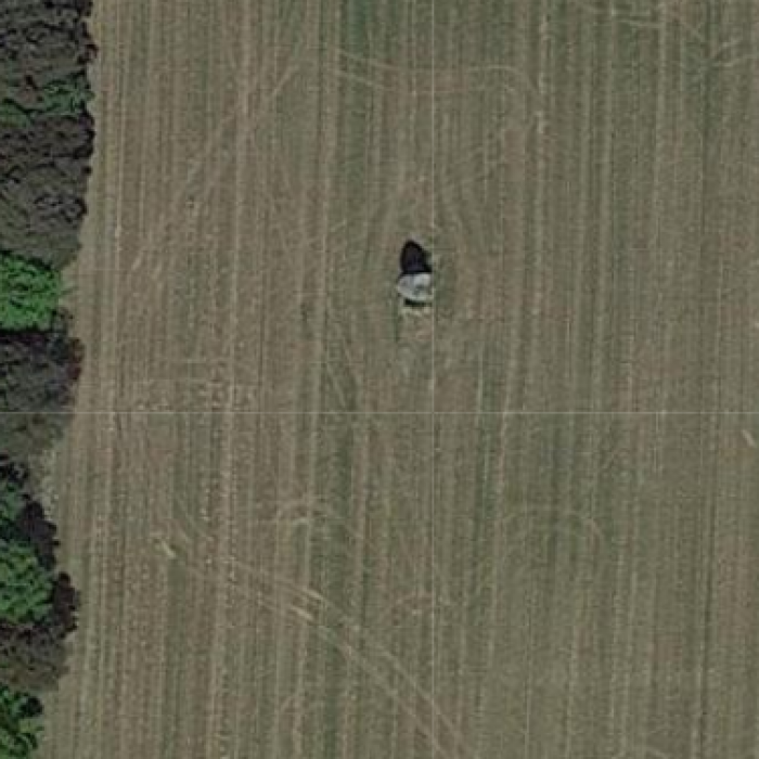 Photo de Menhir de la Boitière à Avrillé