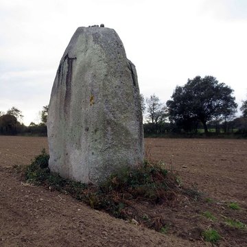 Menhir de la Boitière à Avrillé
