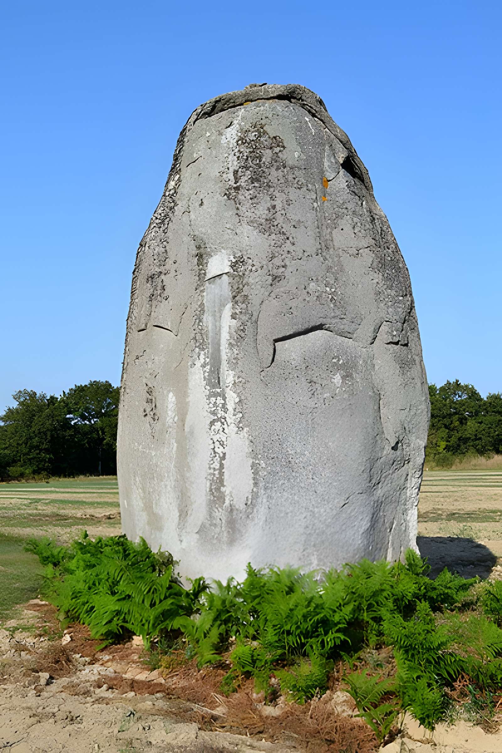 Menhir de la Boitière à Avrillé