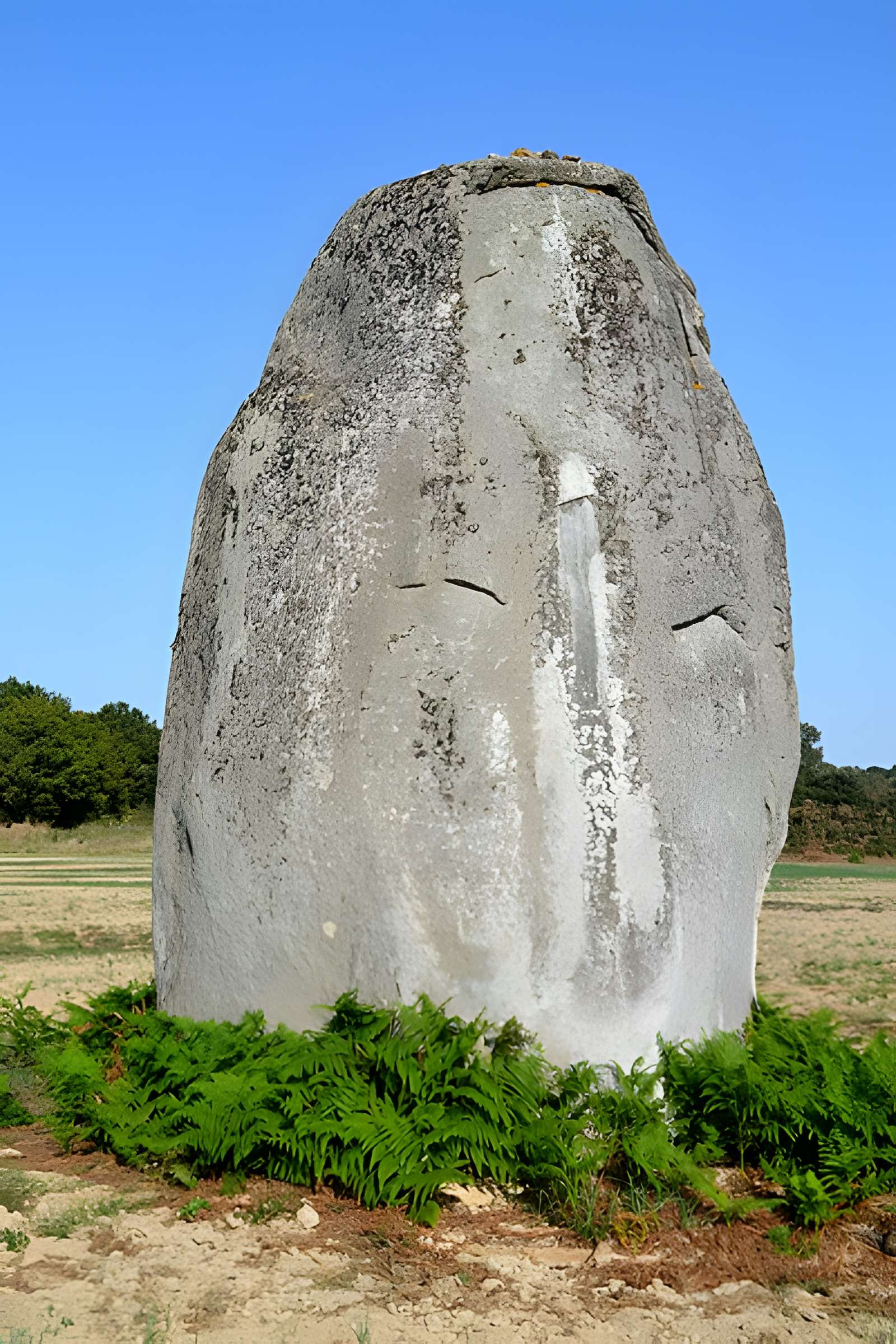 Menhir de la Boitière à Avrillé