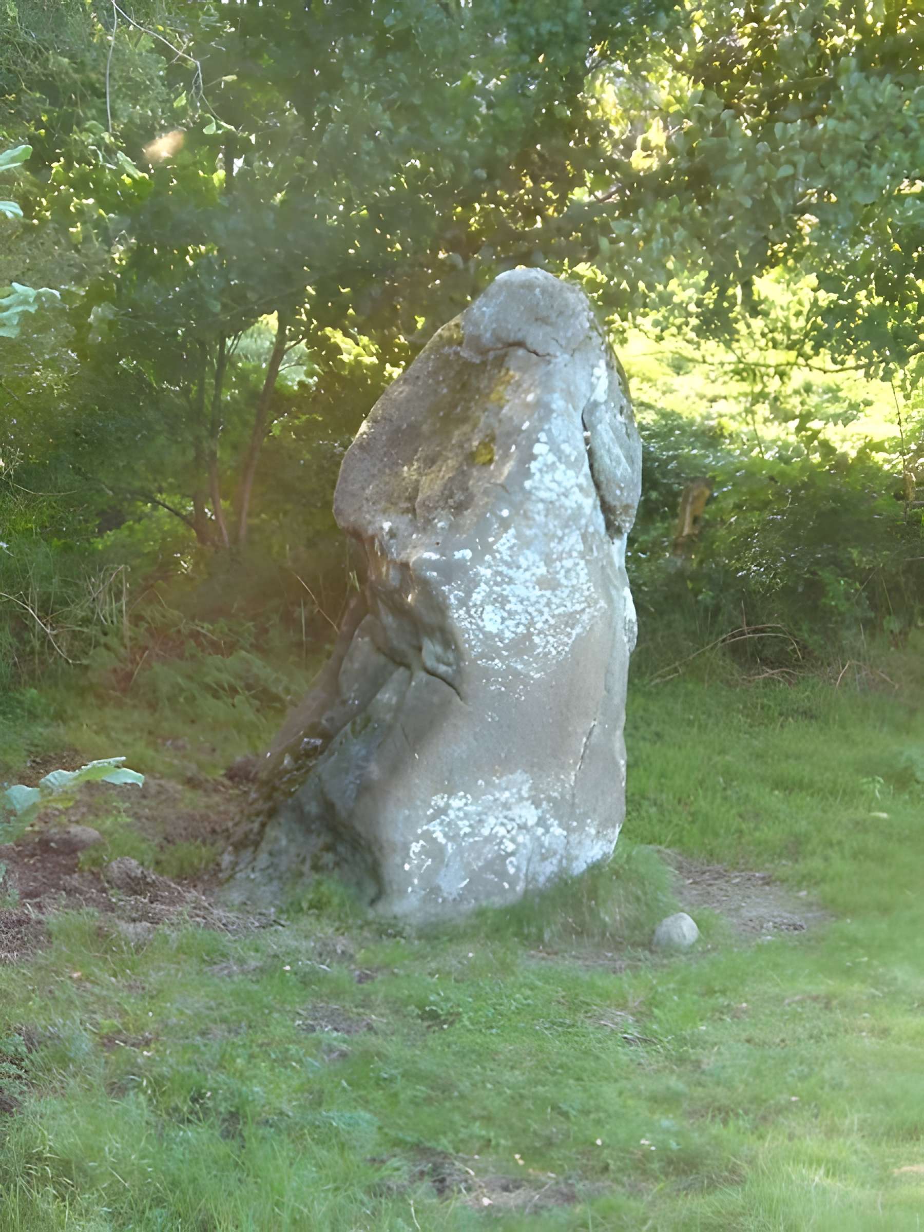 Menhir de la Boussardière à Montaudin 
