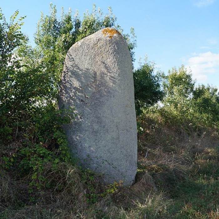 Photo de Menhir de la Chenillée à Saint-Vincent-sur-Graon